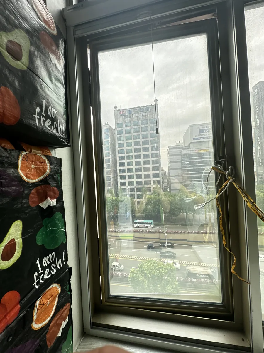 붉은색 목재 프레임에 칠이 벗겨지고 반투명 유리가 섞여 있는 오래된 캐시먼트 창문